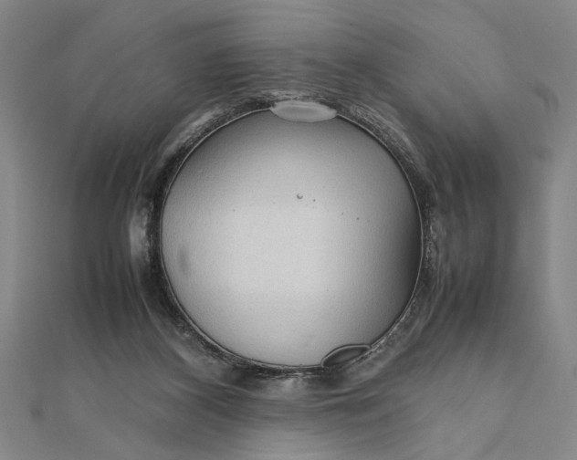 X0000111840116200908061302