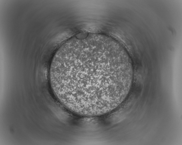 X0000111840117200908061302