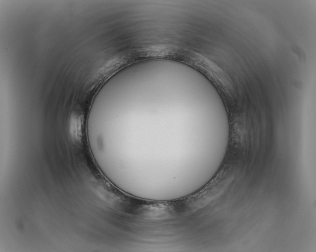 X0000111840118200908061301