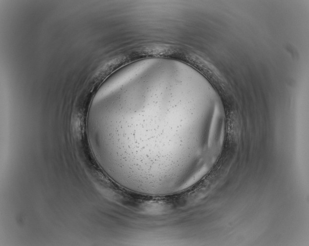 X0000111840119200908061301