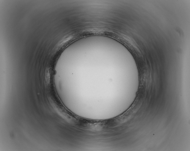 X0000111840120200908061301