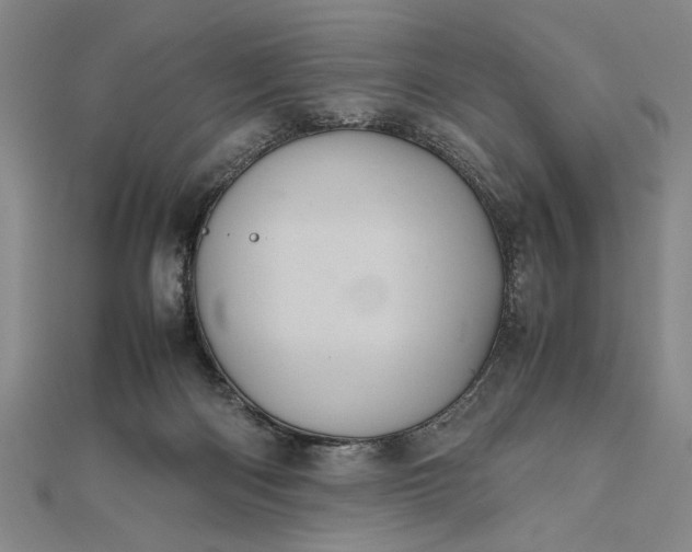 X0000111840122200908061301