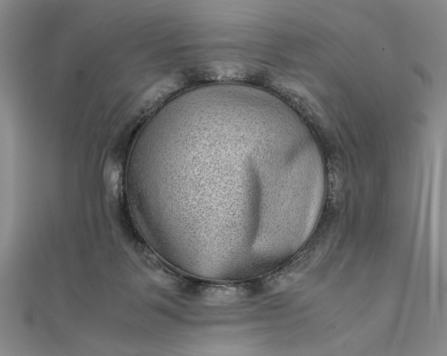 X0000111840123200908061301