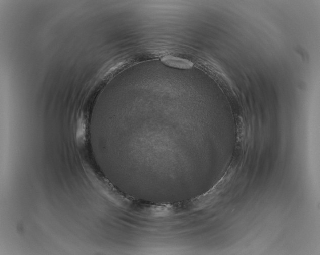 X0000111840124200908061301