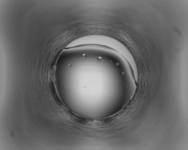 X0000111840125200908061301