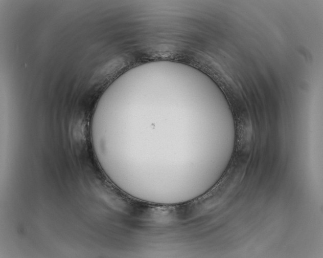 X0000111840126200908061301