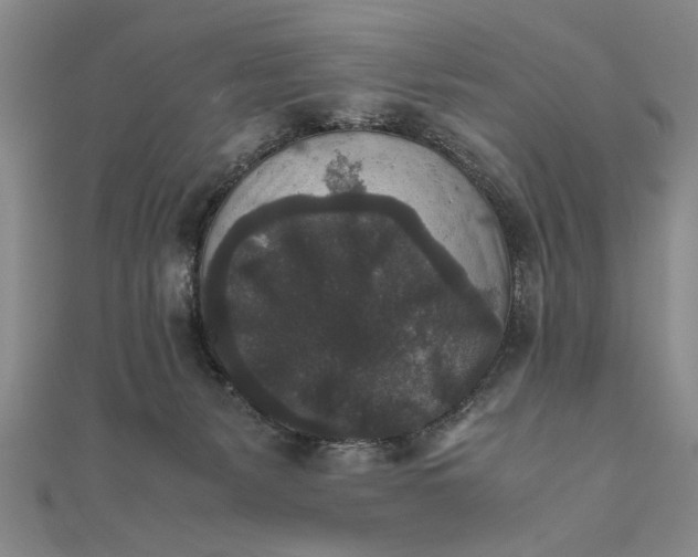 X0000111840127200908061301