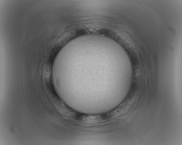 X0000111840129200908061301