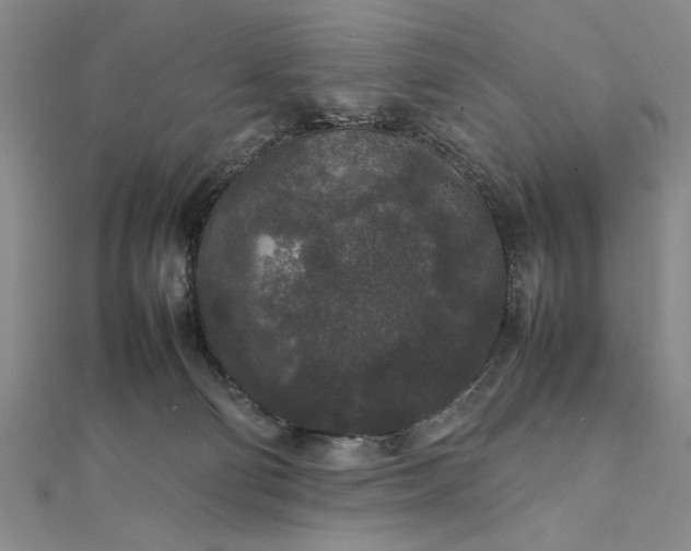 X0000111840130200908061301