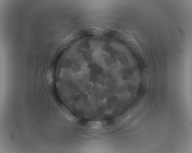 X0000111840131200908061301