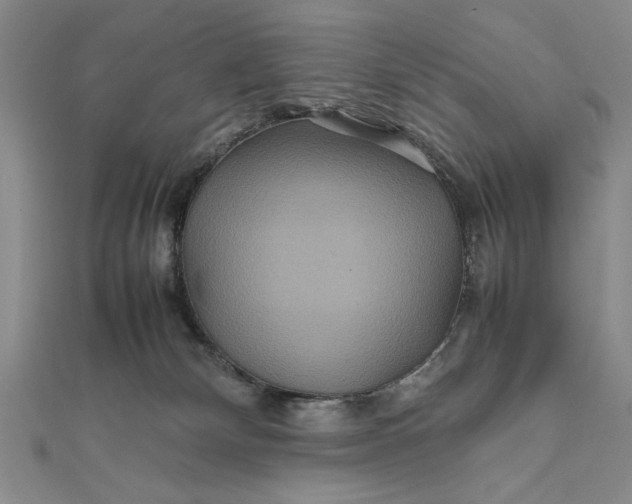 X0000111840132200908061301