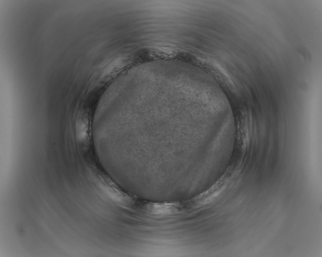 X0000111840134200908061301