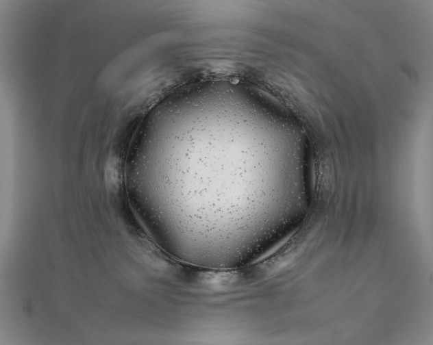 X0000111840135200908061301