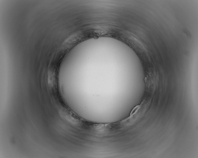 X0000111840136200908061301