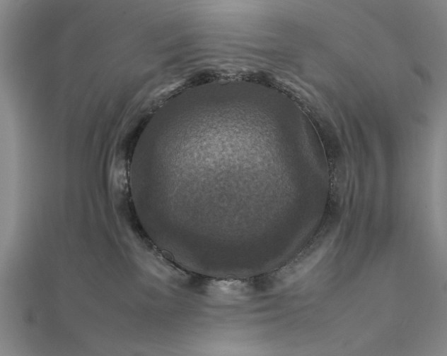 X0000111840137200908061301