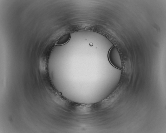 X0000111840138200908061301