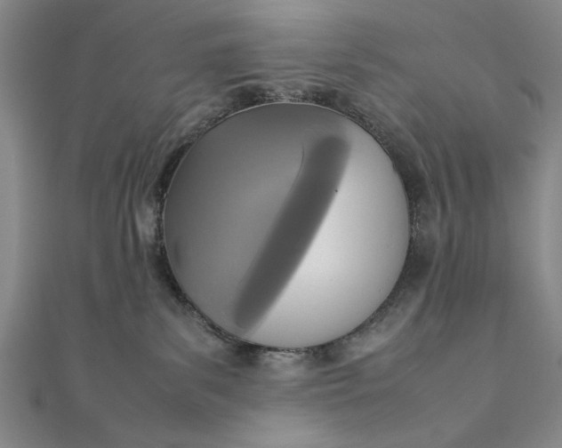 X0000111840139200908061301