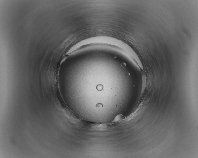 X0000111840140200908061301