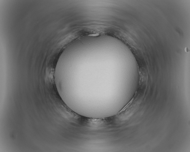 X0000111840141200908061301