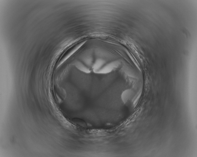 X0000111840145200908061301