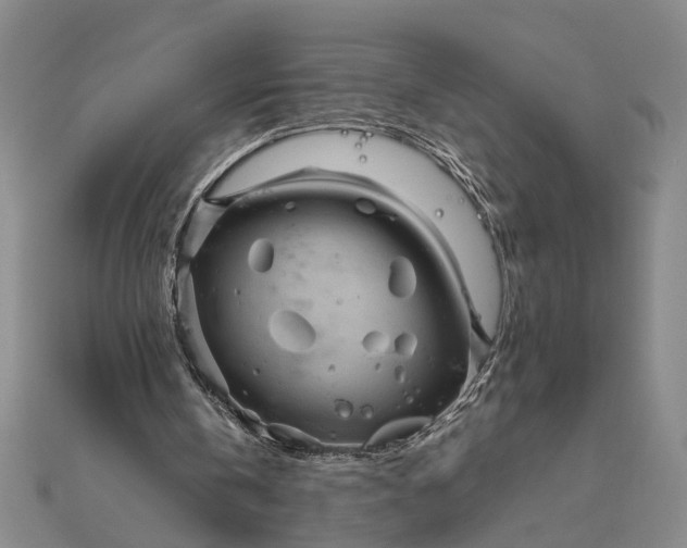 X0000111840146200908061301