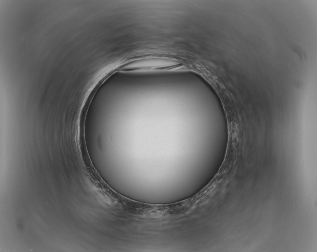 X0000111840148200908061301