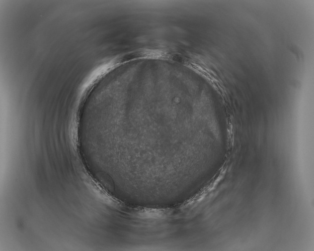 X0000111840149200908061301