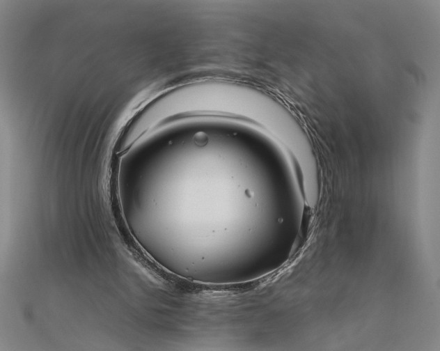 X0000111840150200908061301