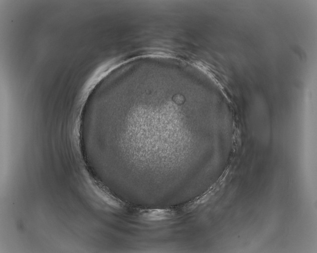 X0000111840151200908061301