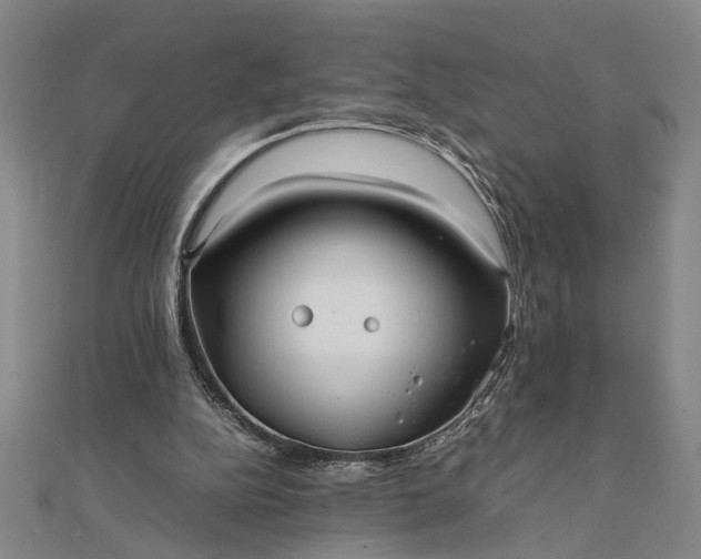 X0000111840152200908061301