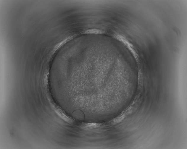 X0000111840153200908061301