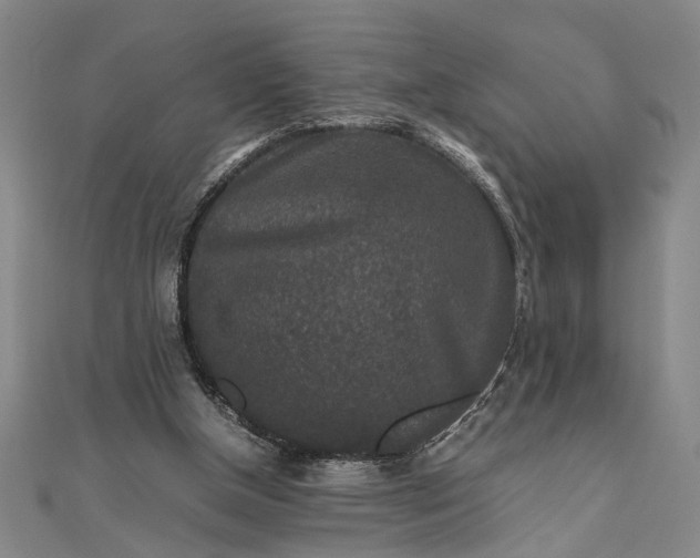 X0000111840154200908061301