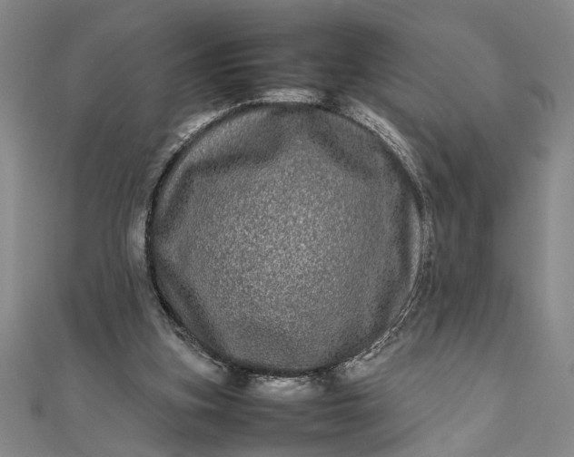 X0000111840155200908061301