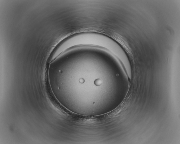 X0000111840156200908061301