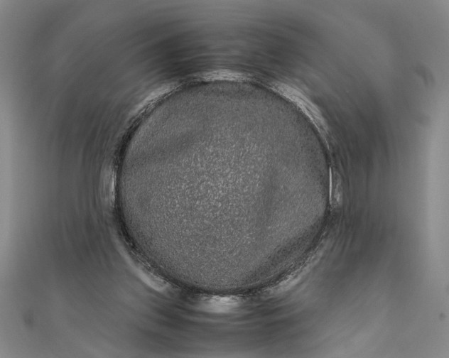 X0000111840157200908061301