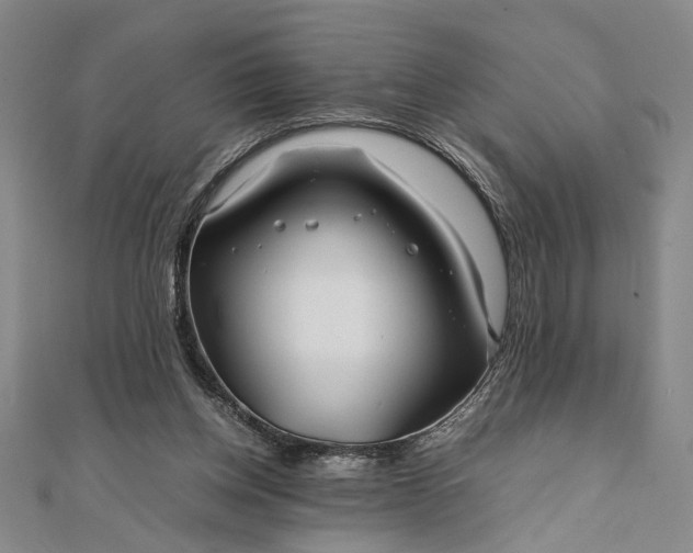 X0000111840158200908061301