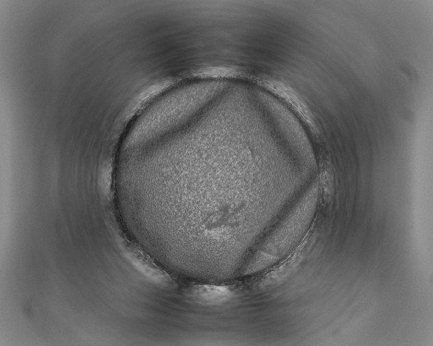 X0000111840159200908061301