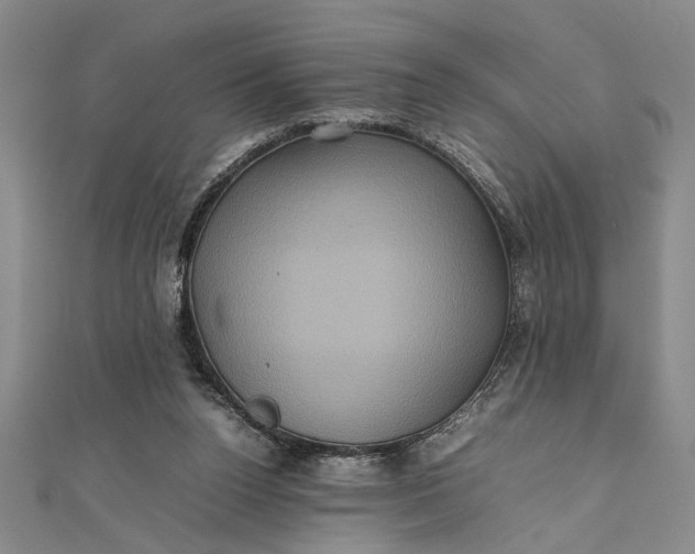 X0000111840160200908061301