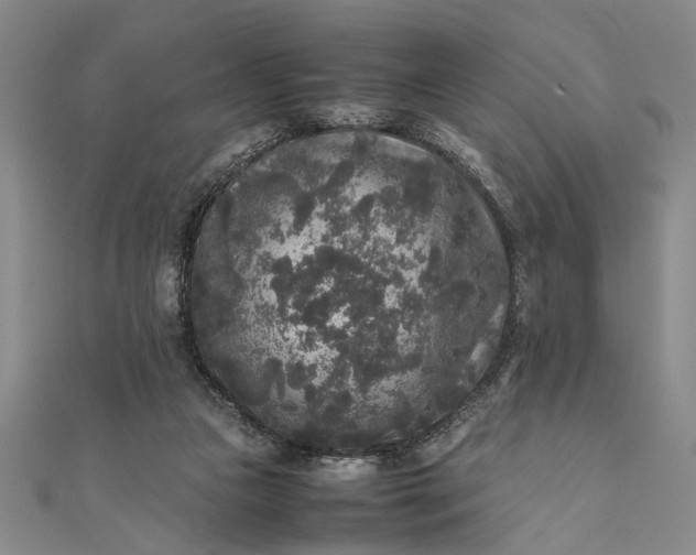 X0000111840161200908061301