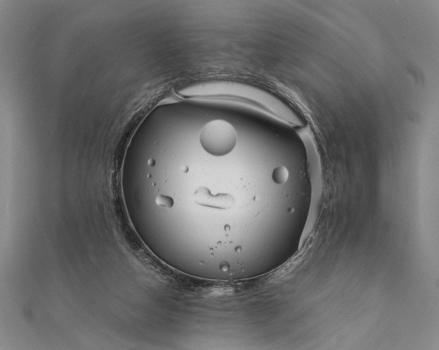 X0000111840162200908061301