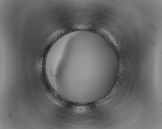 X0000111840163200908061301