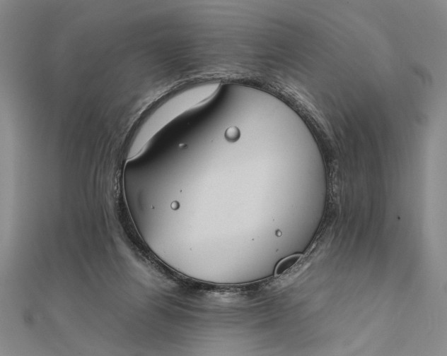 X0000111840164200908061301