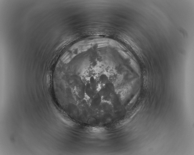 X0000111840165200908061301