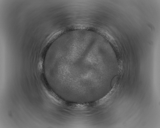 X0000111840166200908061301