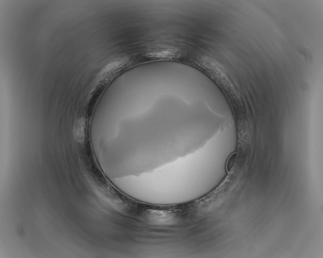 X0000111840167200908061301