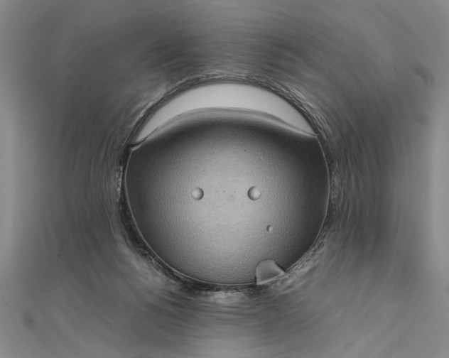 X0000111840168200908061301