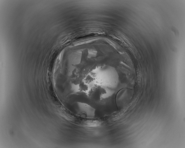 X0000111840169200908061301