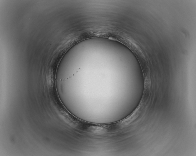 X0000111840170200908061301