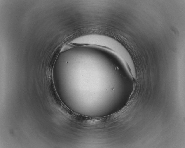 X0000111840172200908061301