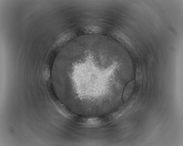 X0000111840173200908061301